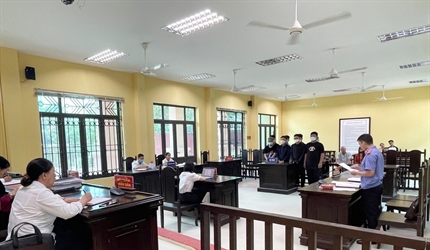 Viện KSND quận Long Biên phối hợp với Tòa án cùng cấp tổ chức phiên tòa...